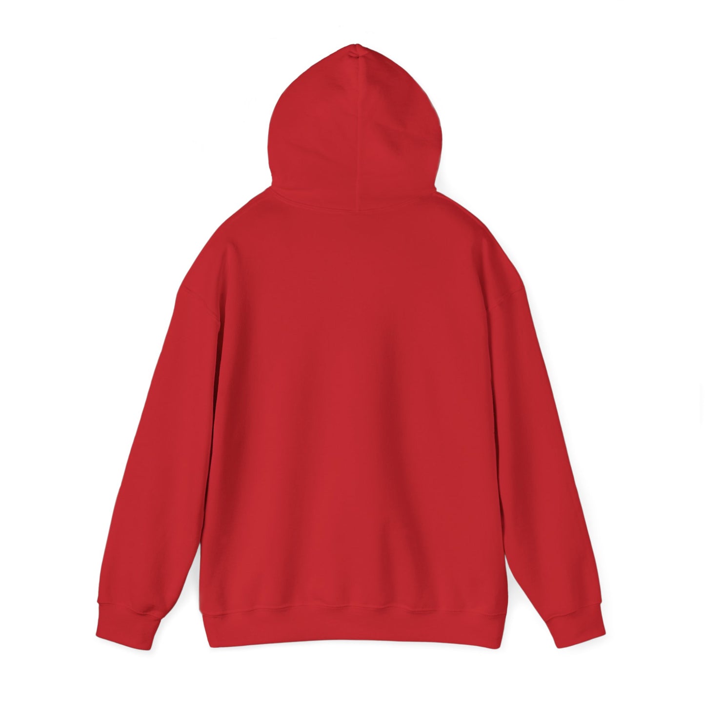 Santa Claus Gnome Hoodie