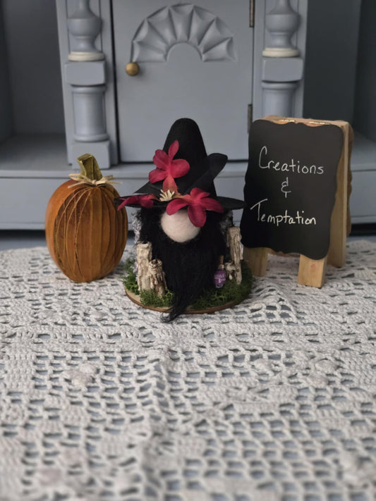 Small Witch Gnome Fella